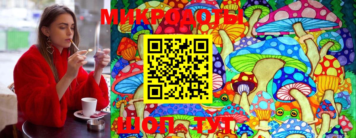 Дивногорск  Псилоцибиновые грибы Psilocybe  Вход с VPN 