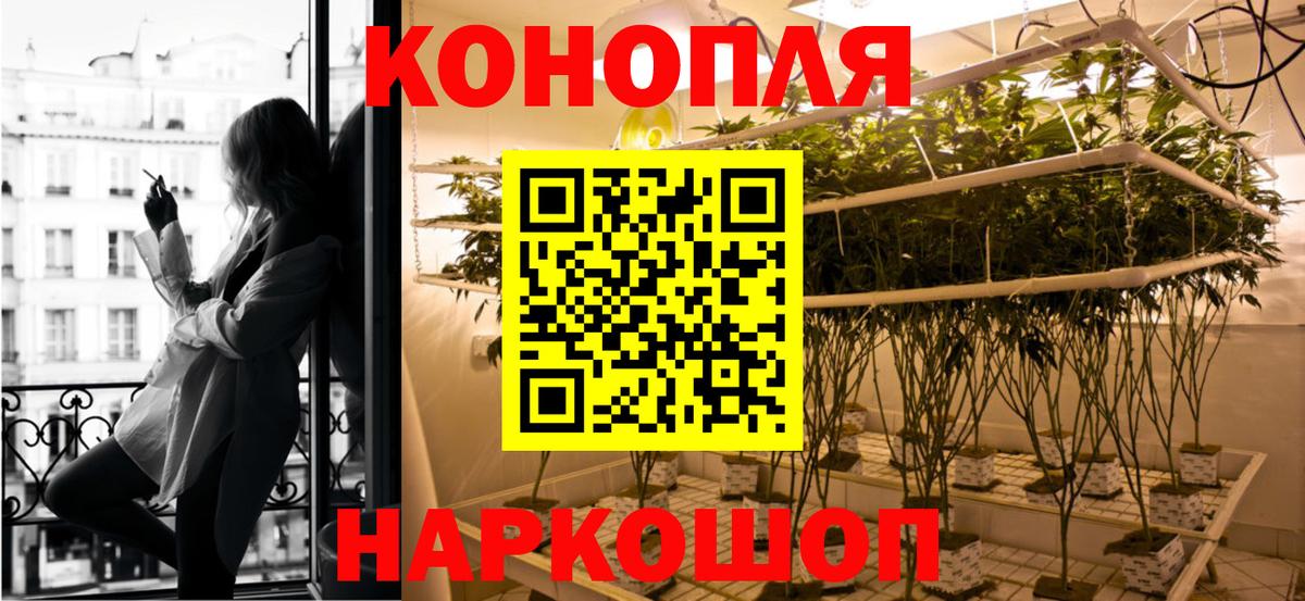 Конопля OG Kush  Вход с VPN  Бошки Шишки семена  Каннабис марихуана  Дивногорск 